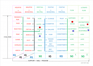 IQ EQ SQ flow